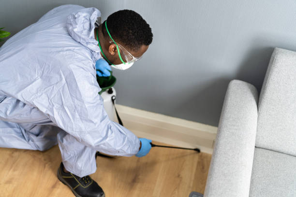 Best Real Estate Pest Inspections  in North Boston, NY